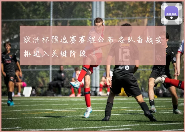 欧洲杯预选赛赛程公布 各队备战安排进入关键阶段_1