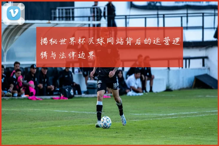 揭秘世界杯买球网站背后的运营逻辑与法律边界