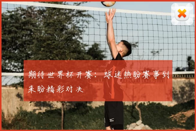 期待世界杯开赛:球迷热盼赛事到来盼精彩对决
