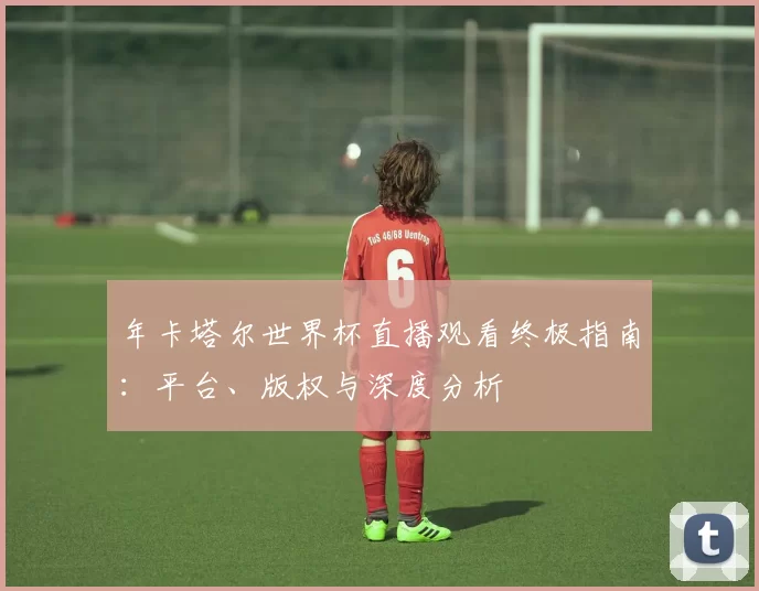 年卡塔尔世界杯直播观看终极指南：平台、版权与深度分析