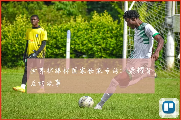 世界杯捧杯国家独家专访:荣耀背后的故事
