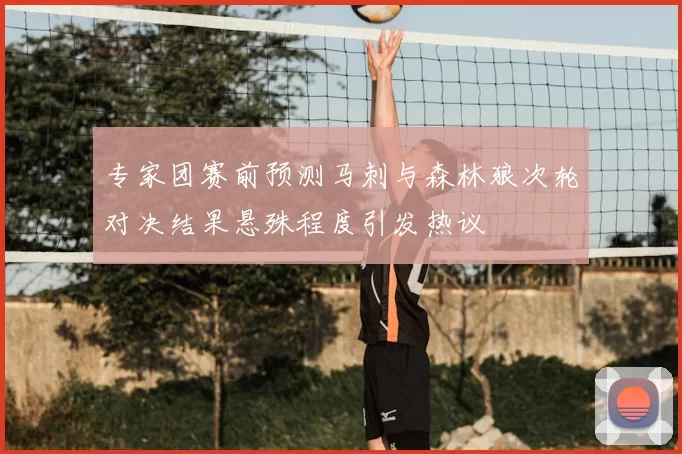 专家团赛前预测马刺与森林狼次轮对决结果悬殊程度引发热议