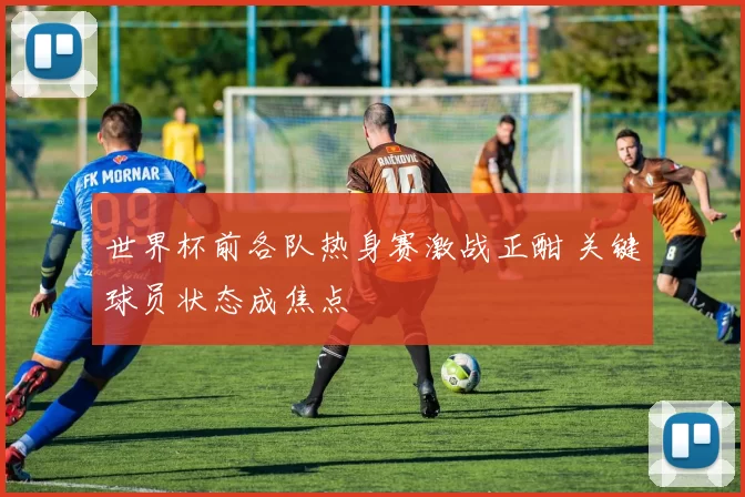 世界杯前各队热身赛激战正酣 关键球员状态成焦点