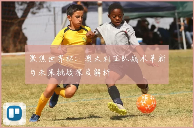 聚焦世界杯:澳大利亚队战术革新与未来挑战深度解析