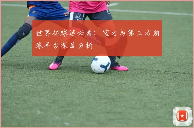 世界杯球迷必看:官方与第三方购球平台深度分析