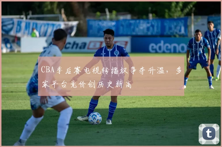 CBA季后赛电视转播权争夺升温,多家平台竞价创历史新高